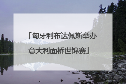 匈牙利布达佩斯举办意大利面桥世锦赛
