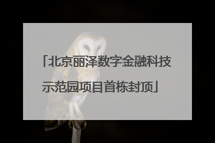 北京丽泽数字金融科技示范园项目首栋封顶