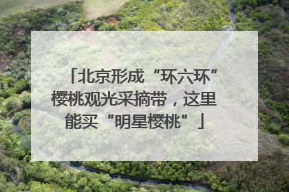 北京形成“环六环”樱桃观光采摘带，这里能买“明星樱桃”