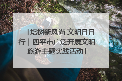 培树新风尚 文明月月行｜四平市广泛开展文明旅游主题实践活动
