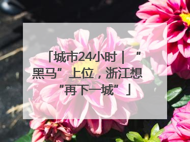 城市24小时｜“黑马”上位，浙江想“再下一城”