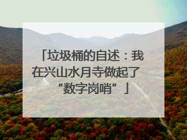 垃圾桶的自述：我在兴山水月寺做起了“数字岗哨”