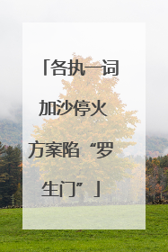 各执一词 加沙停火方案陷“罗生门”