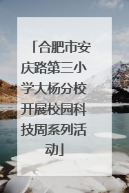 合肥市安庆路第三小学大杨分校开展校园科技周系列活动