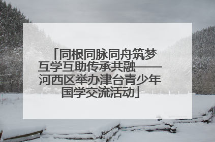 同根同脉同舟筑梦 互学互助传承共融——河西区举办津台青少年国学交流活动