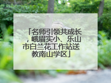 名师引领共成长，峨眉实小、乐山市白兰花工作站送教南山学区