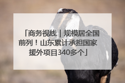商务视线｜规模居全国前列！山东累计承担国家援外项目340多个