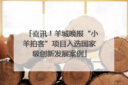 喜讯！羊城晚报“小羊拍客”项目入选国家级创新发展案例
