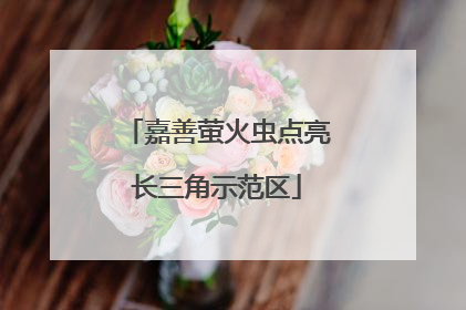 嘉善萤火虫点亮长三角示范区