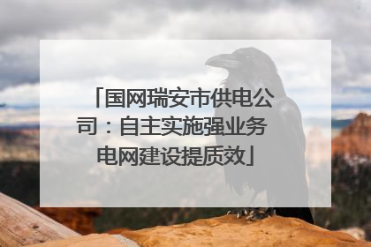 国网瑞安市供电公司：自主实施强业务 电网建设提质效