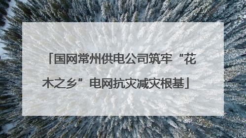 国网常州供电公司筑牢“花木之乡”电网抗灾减灾根基