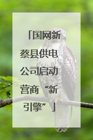 国网新蔡县供电公司启动营商“新引擎”