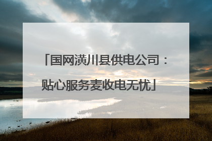 国网潢川县供电公司：贴心服务麦收电无忧