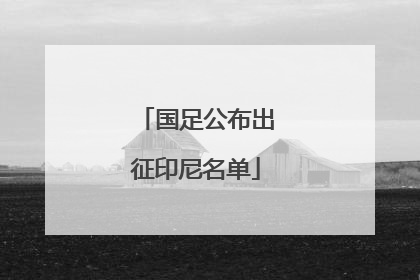 国足公布出征印尼名单