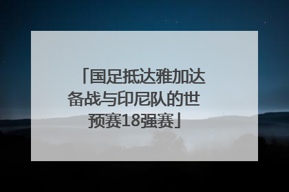 国足抵达雅加达备战与印尼队的世预赛18强赛