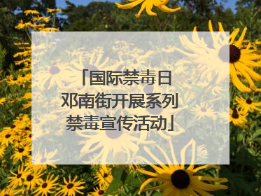 国际禁毒日 邓南街开展系列禁毒宣传活动