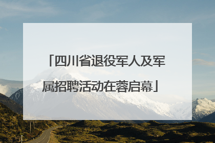 四川省退役军人及军属招聘活动在蓉启幕