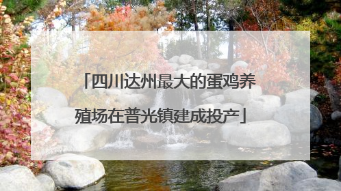 四川达州最大的蛋鸡养殖场在普光镇建成投产