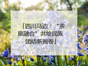 四川马边：“茶旅融合”共绘民族团结新画卷
