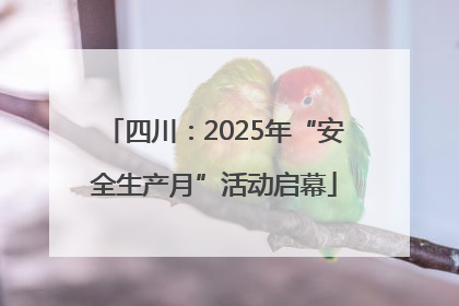 四川：2025年“安全生产月”活动启幕
