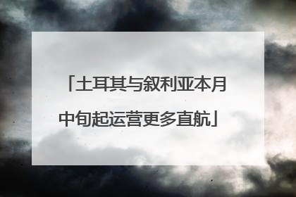 土耳其与叙利亚本月中旬起运营更多直航