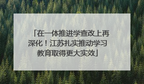在一体推进学查改上再深化！江苏扎实推动学习教育取得更大实效