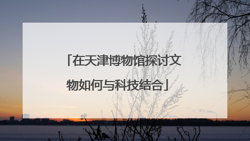 在天津博物馆探讨文物如何与科技结合
