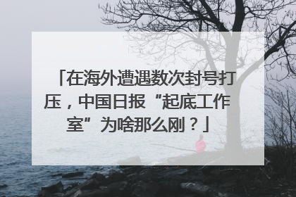 在海外遭遇数次封号打压，中国日报“起底工作室”为啥那么刚？