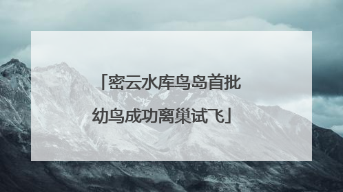 密云水库鸟岛首批幼鸟成功离巢试飞