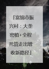 富锦市振兴村：大垄密植+全程托管走出增收新路径