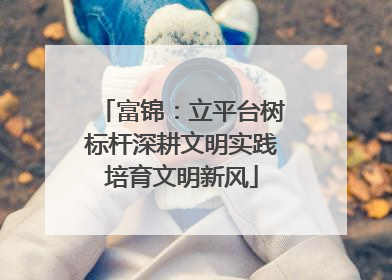 富锦：立平台树标杆深耕文明实践培育文明新风
