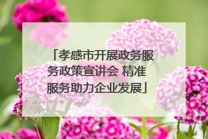 孝感市开展政务服务政策宣讲会 精准服务助力企业发展