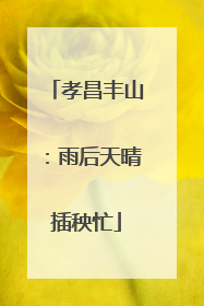 孝昌丰山：雨后天晴插秧忙