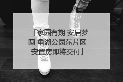 家园有期 安居梦圆 龟湖公园东片区安置房即将交付