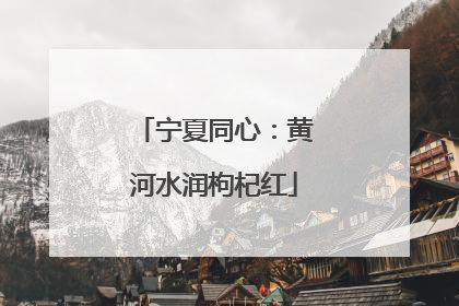 宁夏同心：黄河水润枸杞红
