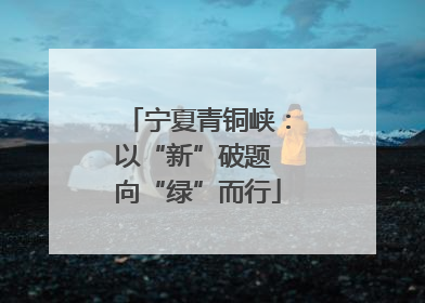 宁夏青铜峡：以“新”破题 向“绿”而行
