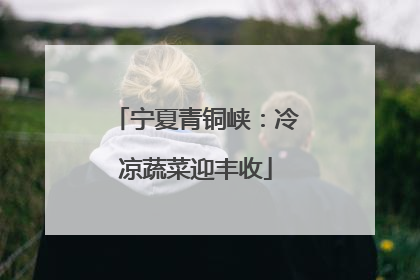 宁夏青铜峡：冷凉蔬菜迎丰收