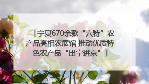 宁夏670余款“六特”农产品亮相农展馆 推动优质特色农产品“出宁进京”