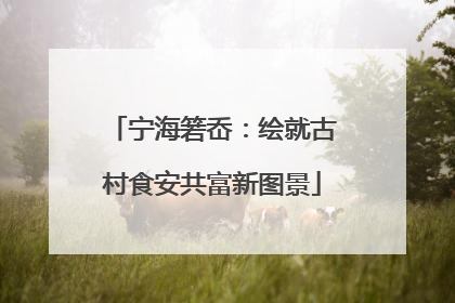 宁海箬岙：绘就古村食安共富新图景