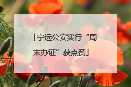 宁远公安实行“周末办证”获点赞