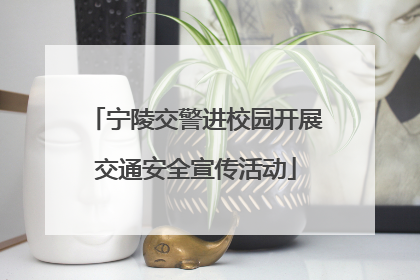 宁陵交警进校园开展交通安全宣传活动