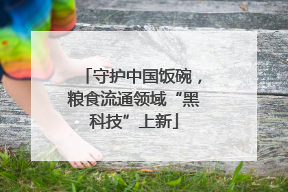 守护中国饭碗，粮食流通领域“黑科技”上新