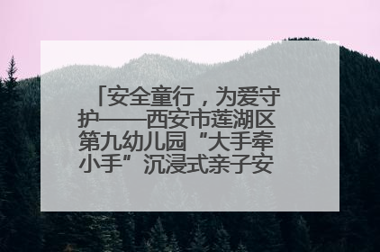 安全童行，为爱守护——西安市莲湖区第九幼儿园“大手牵小手”沉浸式亲子安全体验活动