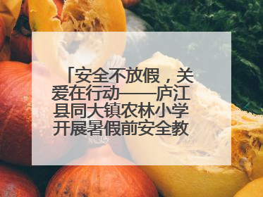 安全不放假，关爱在行动——庐江县同大镇农林小学开展暑假前安全教育大家访