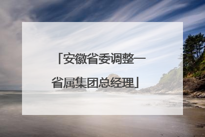 安徽省委调整一省属集团总经理
