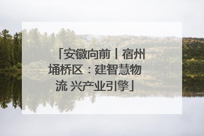 安徽向前丨宿州埇桥区：建智慧物流 兴产业引擎