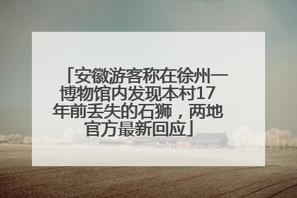 安徽游客称在徐州一博物馆内发现本村17年前丢失的石狮，两地官方最新回应