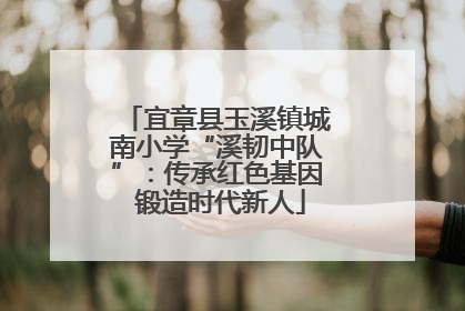 宜章县玉溪镇城南小学“溪韧中队”：传承红色基因 锻造时代新人