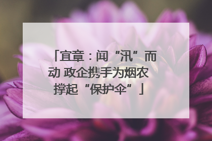宜章：闻“汛”而动 政企携手为烟农撑起“保护伞”