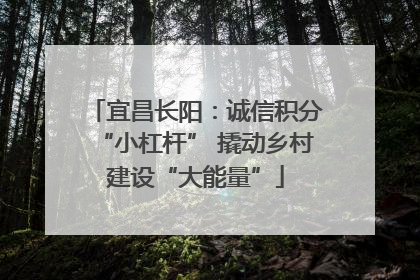 宜昌长阳：诚信积分“小杠杆” 撬动乡村建设“大能量”